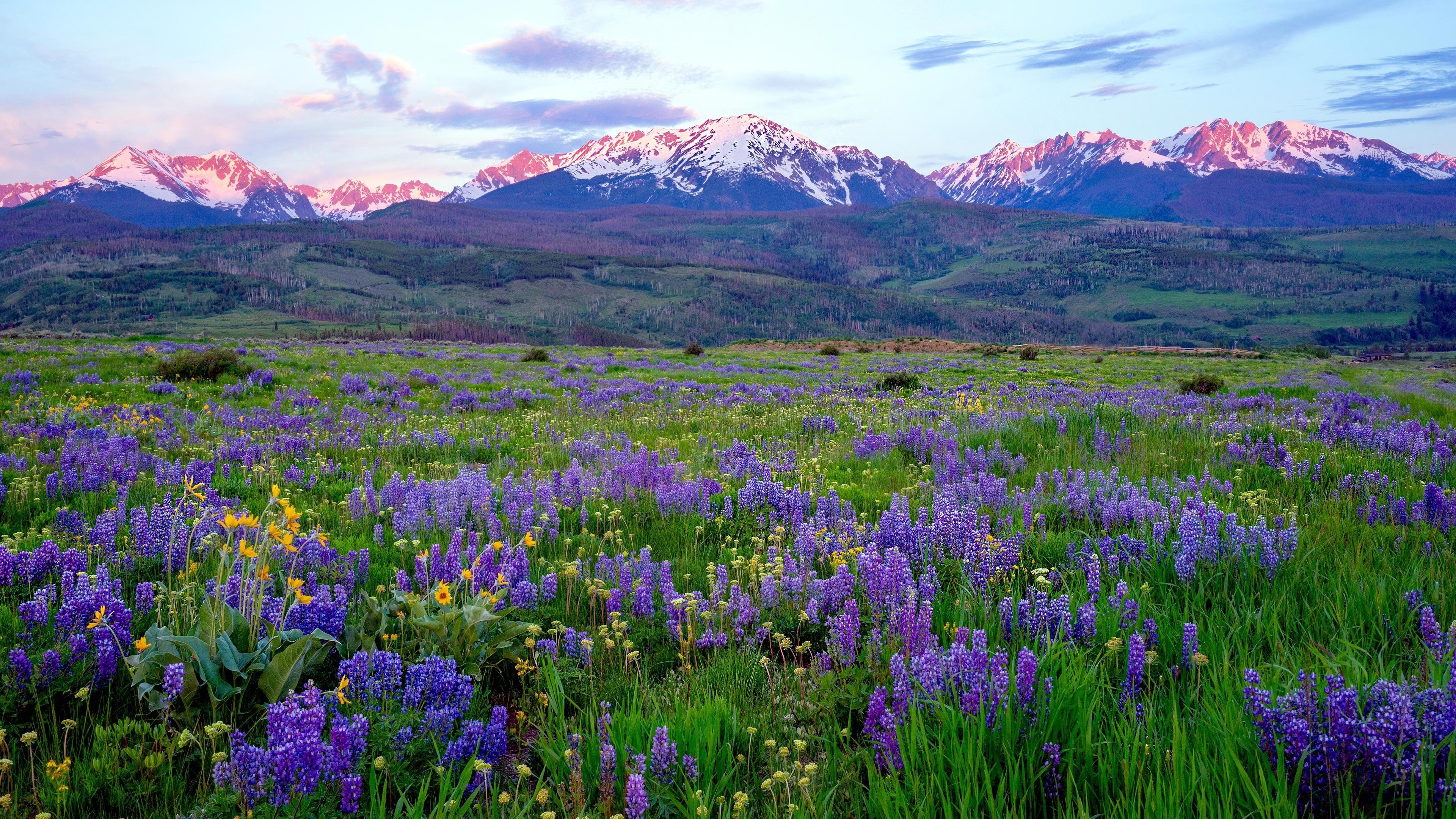 Silverthorne, Colorado.