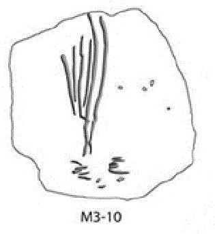 Blombos solfjdersmotiv - symbol fr eld?