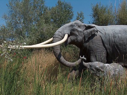Rekonstruerad bild av den utdda Elephas antiquus