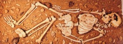 Skelettet av en fransk cormagnon-människa