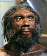 Rekonstruerad bild av Homo heidelbergensis