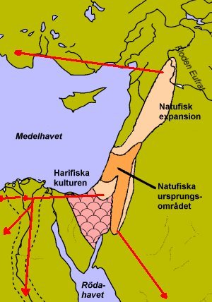 Karta visande den natufiska kulturens utbredning