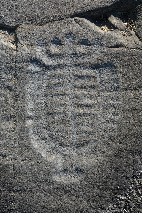 Tjuren i Sl�broparken