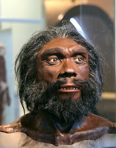 Rekonstruerat huvud av Homo heidelbergensis