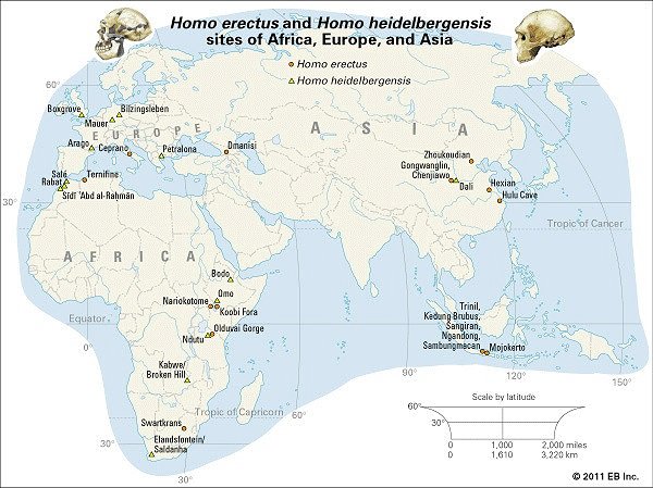 Map-erectus-Africa-Asia