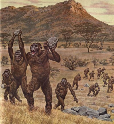 Paranthropus